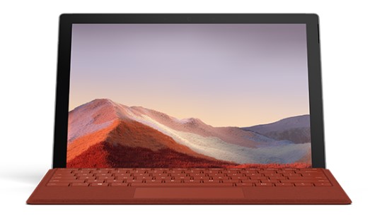 乐都清洁和维护 Surface
